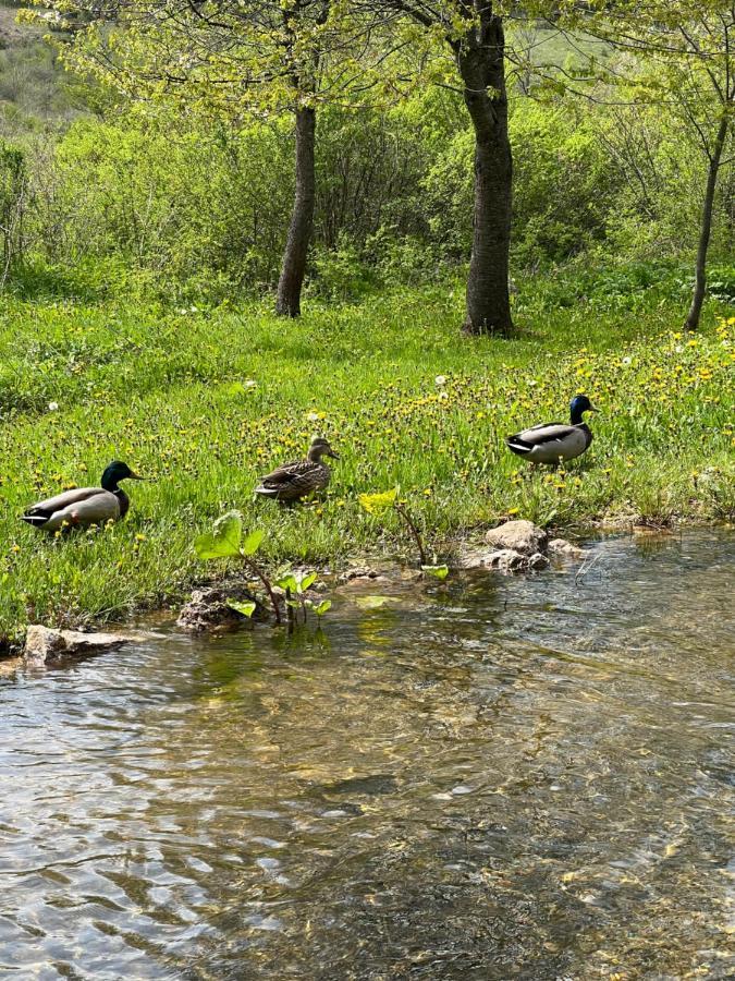 Plitvička Jezera Rustic Inn River 2 المظهر الخارجي الصورة